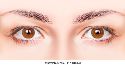 Closeup Image Of Hazel Eyes