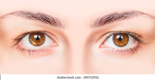 Closeup Image Of Hazel Eyes