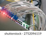 A close-up image of network cables connected to a hub, showcasing the intricate details of modern communication technology and digital infrastructure.