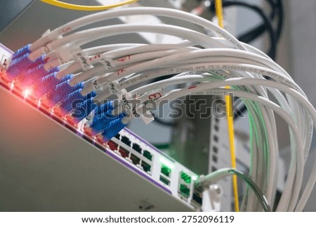 A close-up image of network cables connected to a hub, showcasing the intricate details of modern communication technology and digital infrastructure.