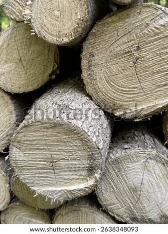 A close-up image of a pile of small, wide-cut logs stacked outdoors. The logs have visible bark and growth rings, with freshly cut ends showing natural wood grain and varying shades of tan and brown. 