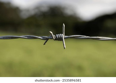 A close-up image of a section of barbed wire against a blurred green field background, focusing on the sharp metal spikes in the center. - Powered by Shutterstock