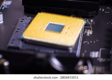 Close-up image showcasing a computer processor installed on a motherboard. Gold pins on the processor are clearly visible, highlighting intricate hardware details. Surrounding elements include various