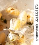 Closeup image of silkworm spawn and cocoon