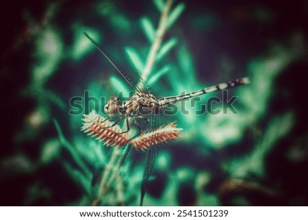 A closeup image of a small bug perched on a blade of grass in a vibrant outdoor setting, its antennae reaching out in curiosity