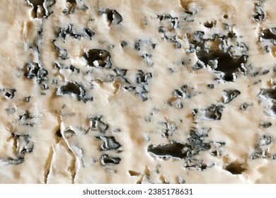 Close-up image, texture of soft cheese, blue cheese, gorgonzola. Traditional taste. Cheese with mold. Concept of food, taste, art of organic products, healthy, natural food.