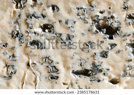 Close-up image, texture of soft cheese, blue cheese, gorgonzola. Traditional taste. Cheese with mold. Concept of food, taste, art of organic products, healthy, natural food.