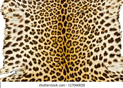 Closeup image of tiger skin for background user