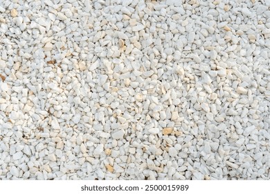 A close-up image of white gravel stones, ideal for backgrounds, textures, and construction-related themes. - Powered by Shutterstock