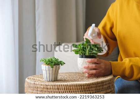 Closeup image of a woman taking care and watering houseplants with plant mister spray at home