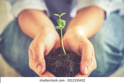 Closeup image of woman's hands  holdings a little green plant,New life growth ecology concept- Vintage effect style pictures