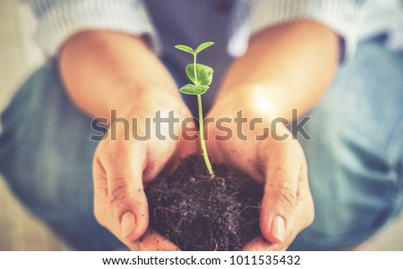 Closeup image of woman's hands  holdings a little green plant,New life growth ecology concept- Vintage effect style pictures
