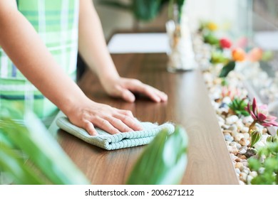 Close-up Image Of Young Woman Wiping Surfaces In Cafe Or Coffeeshop Before Opening And Inviting Customers