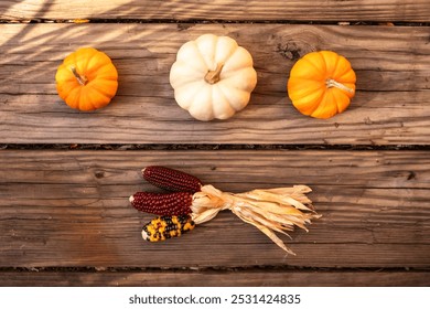 close-up of Indian corn, flint corn, and mini pumpkin gourds against wood, fall scene - Powered by Shutterstock