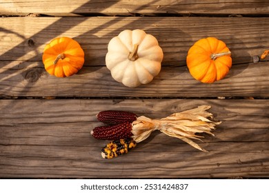 close-up of Indian corn, flint corn, and mini pumpkin gourds against wood, fall scene - Powered by Shutterstock