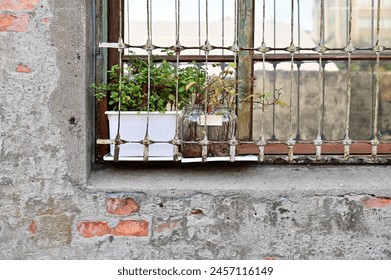 Close-up of iron bars on red brick walls with plants behind windows. Iron window grilles in Taiwan serve as both security measures and artistic expressions of cultural significance. - Powered by Shutterstock