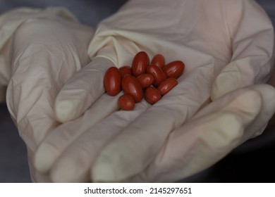 Closeup Of Isotretinoin Pills Held By A Person.