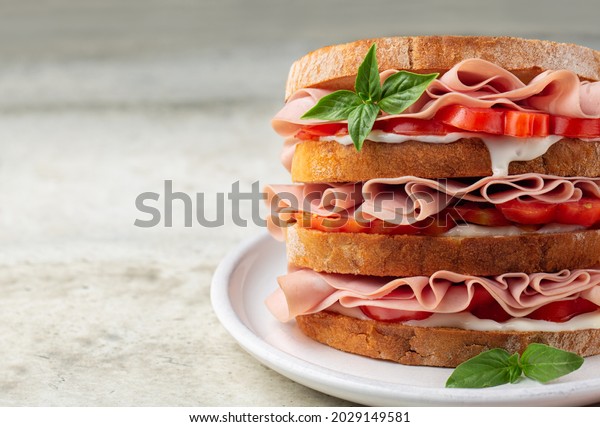 Close-up of italian
deli sandwich with mortadella, soft cheese Stracchino and
tomatoes.. Copy space., closeup,
