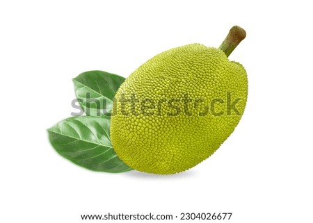 Closeup Jackfruit with isolated on white background