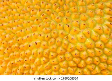 Closeup Of Jackfruit Skin Background.