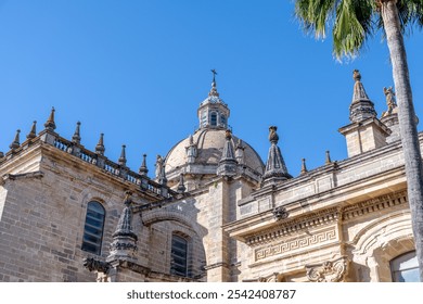 Close-up of Jerez Cathedral showcasing its grand dome and ornate decorations, framed by a tall palm tree for elegance. - Powered by Shutterstock