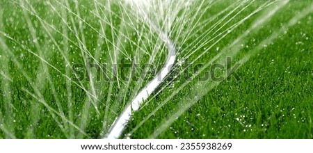 Close-up of jets and splashes, watering the lawn with a hose. Automatic garden irrigation system watering lawn. Automatic equipment for irrigation and maintenance of lawns, gardening.