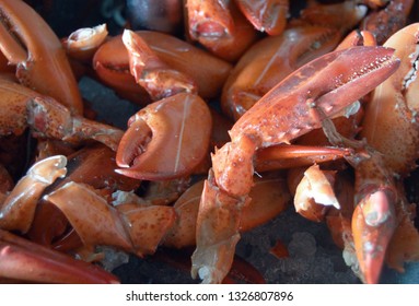 Closeup Jonah Crab Claws