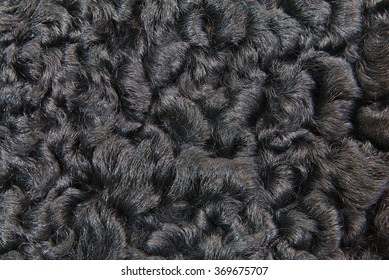 Close-up Of Karakul Pelt