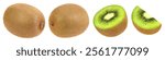 Close-up, kiwi fruit, slices and half isolated on a white background, Clipping path