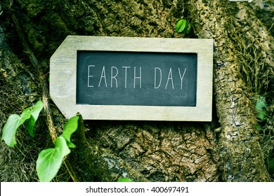 Closeup Of A Label-shaped Chalkboard With The Text Earth Day In The Trunk Of A Tree