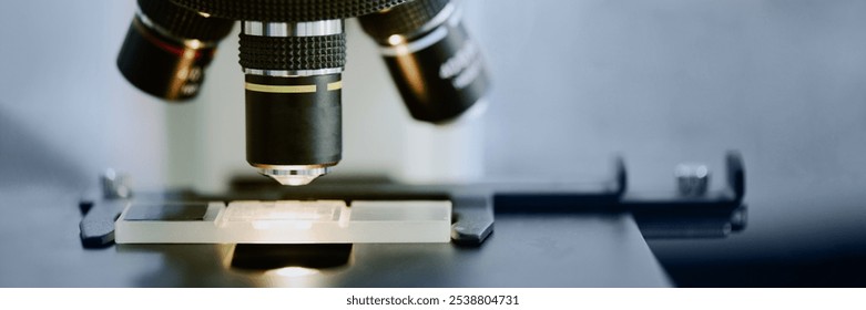 Close-up of a laboratory sample being examined under a microscope for scientific research. The sample is precisely positioned under the objective lens