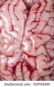 Closeup From A Lamb Brain Showing Its Texture With Blood