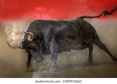 close-up of a large black bull charging in a bullfight