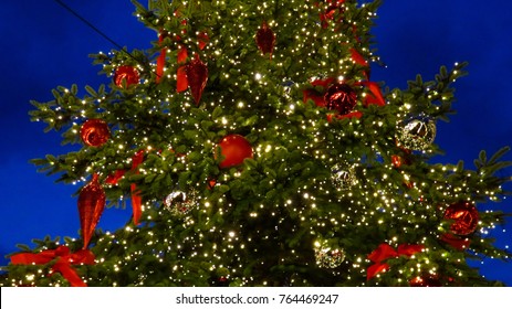 Close-Up Of A Large Christmas Tree Outside In The Evening
