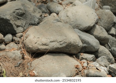 A close-up of a large, flat river rock with a smooth, textured surface. The rock is surrounded by smaller, rounder stones and is resting on a bed of dry leaves. The overall tone of the image is earthy - Powered by Shutterstock