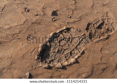 Closeup of a large footprint of a workboot in the mud after work in high sun