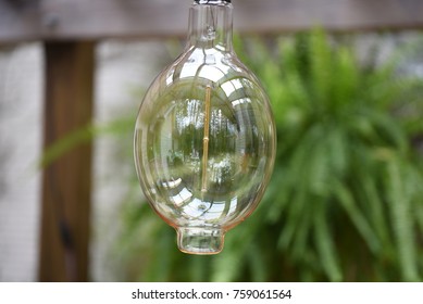 Closeup of a large light bulb.