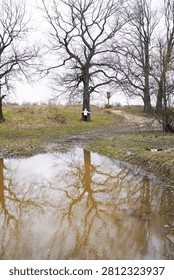 Close-up of a large puddle reflecting bare oak trees. A person stands near trees on a rural hill in the background. Early spring flood landscape.                        