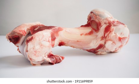 Close-up large raw bone of big animal cow or pig on white background. Bone for cooking broth. Food for dogs
