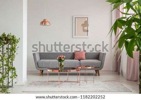 Image, Stock Photo a rose Living or residing