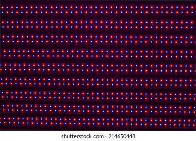 closeup of led dots 