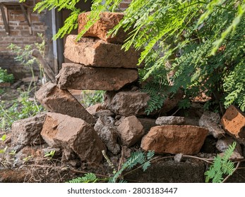 Close-up of leftover construction bricks and debris placed outdoors underneath a green leafy bush.