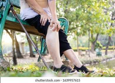 Closeup of legs of injured senior woman have knee pain,swollen knees and hand to massage the knee while sitting,old people suffer from gout,arthritis,osteoarthritis,rheumatism,disease of the elderly