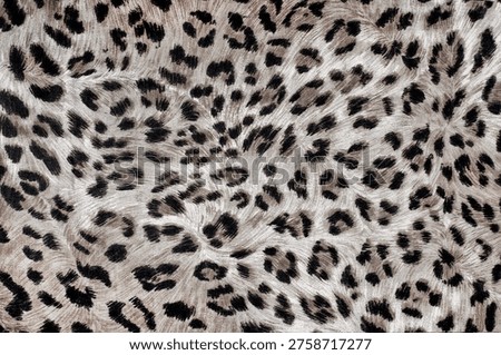Close-up of leopard print fabric texture. Natural animal pattern with characteristic spots, trendy background for fashion design, textile and print use.