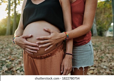 A Closeup Of A Lesbian Couple Holding Their Belly Bump In A Park - Pregnancy