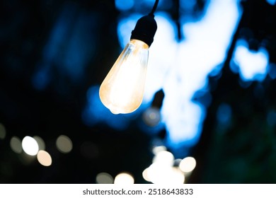 Close-up of light bulbs hanging on wires on a night bokeh background. - Powered by Shutterstock