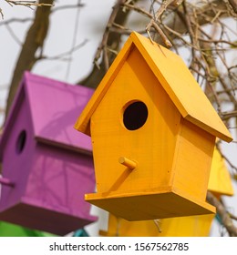 Closeup Light Orange Birdhouse On Dry Stock Photo 1567562785 | Shutterstock