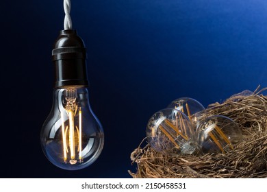 Close-up Of A Lit LED Bulb That Heats Three Small Bulbs In A Bird's Nest On A Black And Blue Background 