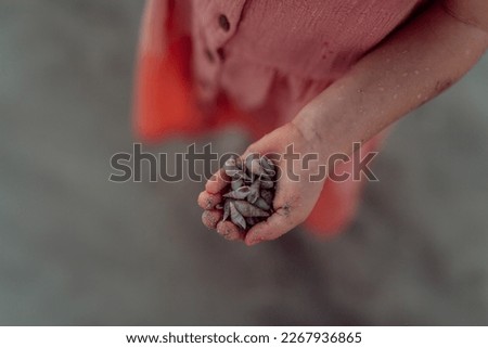 Close-up of little girl holding shells on the beach.