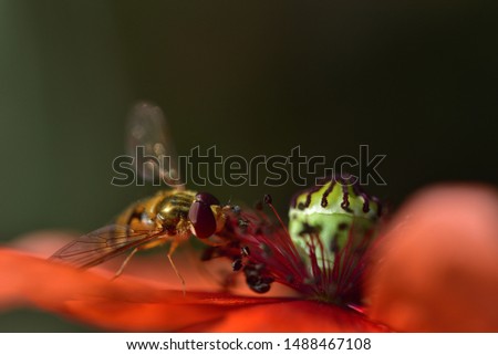 Similar – Image, Stock Photo from above Nature Plant